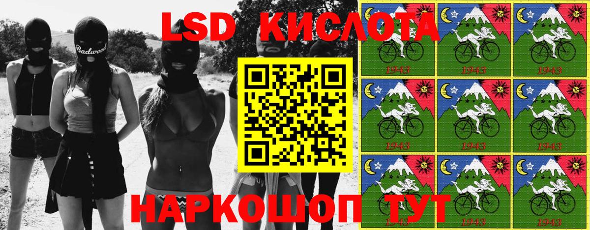 Бошки Шишки Камышлов