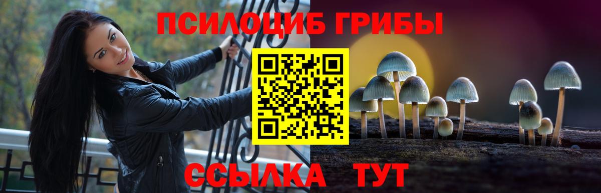 Псилоцибиновые грибы Magic Shrooms  Вход с VPN  Псилоцибиновые грибы Psilocybe  Камышлов 
