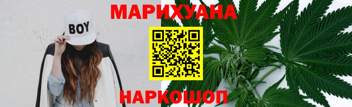 МАРИХУАНА сатива Камышлов